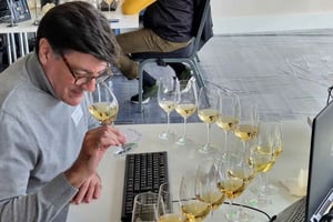 Taste Local Wines in Roman Cellar w/ Wine Judge & Vigneron