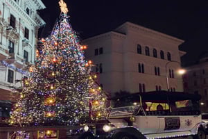 Wenen door Electric Elegance: Kerstmarkt privétour