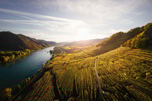 Vienna: Český Krumlov & Wachau Valley Day Trip with Pickup