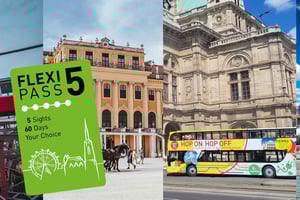 Vienna FLEXI Pass Bestseller: O melhor de Viena