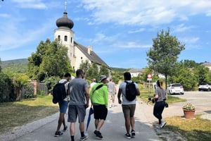 Vienna: Full-Day Vienna Woods Wine Tasting Tour