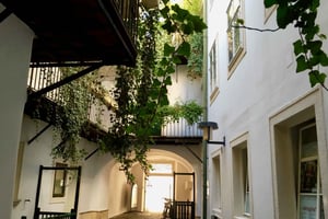 Wien: Dolda pärlor nära Stefansdomen och Gamla universitetet