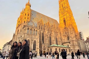 Vienna: Highlights Private Tour, Palaces & Sacher Cake