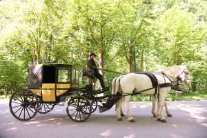 Vienna Porcelain Ride - A discreet Prater carriage ride for adults