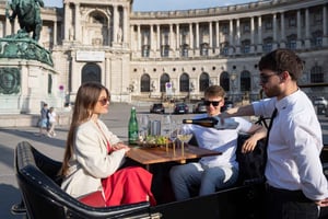 Viena: City Tour particular e jantar num carro antigo