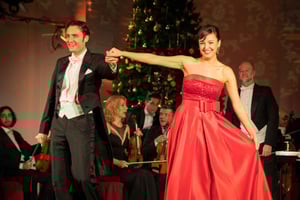 Wenen: kerstmarkt in Schönbrunn en klassiek concert