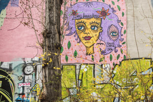 Vienna Urban Art Tour: Entdecke eine andere Seite von Wien!