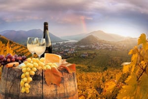 Vienna: Winery and Wine Tasting Tour with a Wine Expert