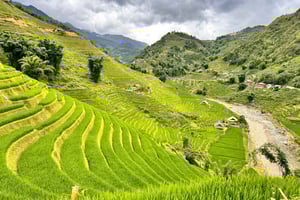 EXPLORE SAPA: 2D1N TREKKING & HMONG CULTURE WITH DINH