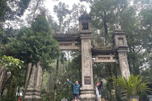 ジープで行くバーヴィ国立公園1日ツアー（新アクティビティ）