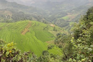 Bac Ha: Excursão panorâmica e cultural com almoço