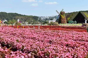 Лучшее в Далате за 2 дня: кемпинг, SUP и каньонинг