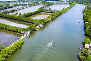 Binh Dinh: Con Chim Islet Cruise, Martial Arts Class Tour