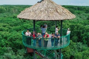 Ho Chi Minh: Can Gio Mangrove and Monkey Island