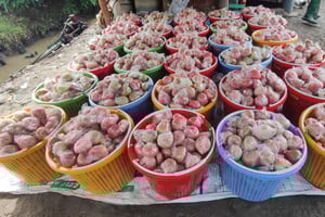 Can Tho: Lai Vung Farm Experience with local