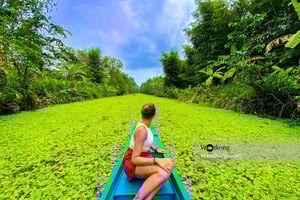 Can Tho: Lung Ngoc Hoang Nature Reserve & Forest Tour