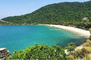 Wycieczka łodzią motorową na wyspy Cham: Hoi An/Da Nang