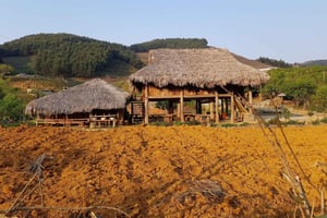 Gemenskapsturism: Fördjupning i Hmong-byn Hua Tat, avresa från Hanoi