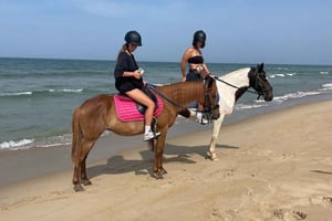 Da Nang : expérience nature et équitation