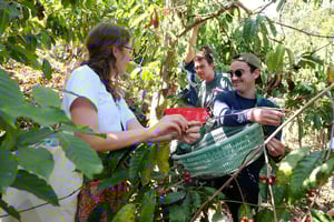 Découvrez comment le café est produit dans une ferme durable à Dalat.