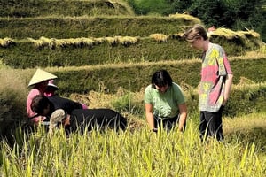 Från Hanoi: Dagstur till Lang Son UNESCO Geopark & landsbygden