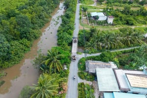 From HCMC: Cu Chi Tunnels& Mekong Delta Small Group Eco Tour