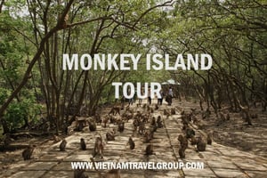 From Ho Chi Minh City: Can Gio Mangrove Guided Forest Tour