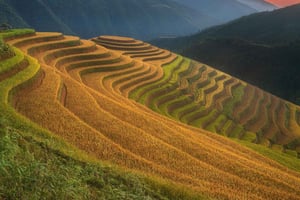 Au départ de Sapa : randonnée guidée d'une journée à Lao Chai et Ta Van avec déjeuner