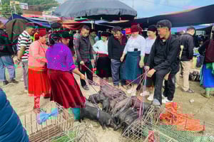 Ha Giang: Dong Van Market Fair Tour with Guide