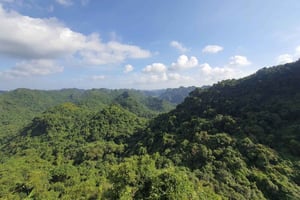 Halbtageswanderung zum Cat Ba Nationalpark mit einem Guide