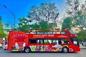 Hanoi: 4 timmars Hop on Hop off-bussresa