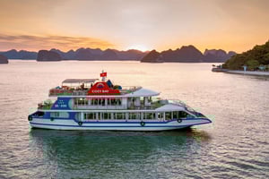 Baie d'Halong : Croisière de luxe d'une journée avec buffet, kayak, baignade