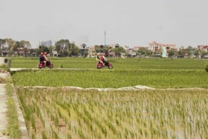 Hanoi Motorrad Landpartie