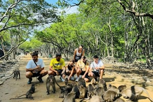 Ho Chi Minh : La mangrove de Can Gio et l'île aux singes
