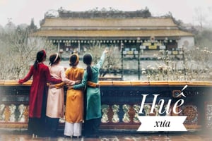Hoi An/Da Nang: Private Day Trip to Hue with Driver