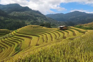 Mu Cang Chai: tour de 2 días en moto a Sapa con alojamiento en casa familiar