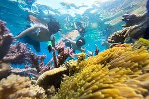 Нячанг: полудневная экскурсия с сноркелингом и барбекю на борту