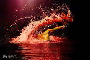 Nha Trang: Life Puppets Private Tour at Đó Opera House