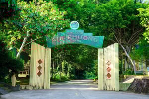 Ninh Binh: Cuc Phuong Jungle Hike & Wildlife Day Trip
