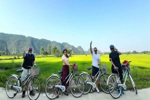 Halbtagestour mit Guide in Ninh Binh: Bootsfahrt in Trang An, Mua-Höhle