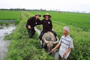 Ninh Binh: Private Hidden Countryside Exploration