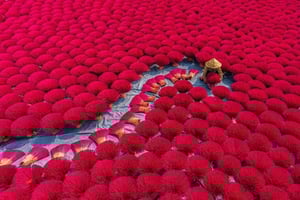 Northern Vietnam: Halal–Vegetarian Adventure Through Bays