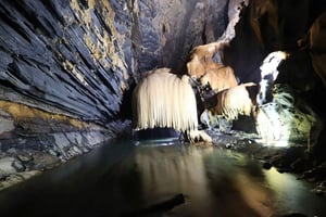 Phong Nha: Phong Nha and Paradise Cave Day Trip