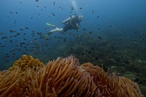 Phu Quoc: Scuba Diving Experience with Instructor