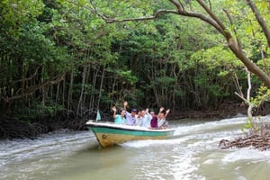 Private/Group Can Gio Mangrove Biosphere Reserve 1 Day Tour