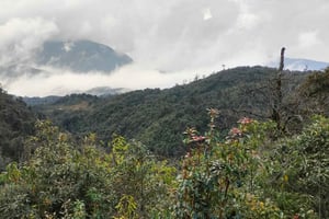 Sapa: Fansipan Mountain 2-Day Trekking Tour