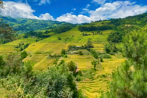 Sapa : visite d'une journée des villages de Lao Chai et Ta Van avec déjeuner