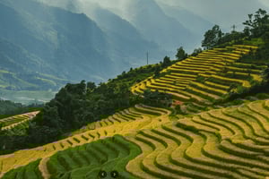 Sapa No-Trek Off-the-Beaten Path: Valley, Villages, Spa Café