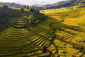 Sapa: Y Linh Ho, Muong Hoa Valley Trek & Village Experience