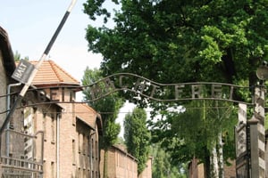 From Warsaw: Auschwitz-Birkenau Small Group Tour with Lunch